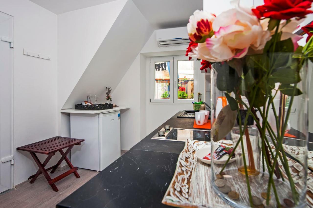 Apartman Delfin Rovinj Exterior foto